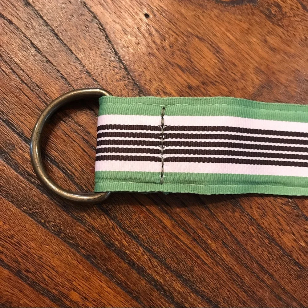 ⚓️J CREW Ribbon Belt - Picture 5 of 6